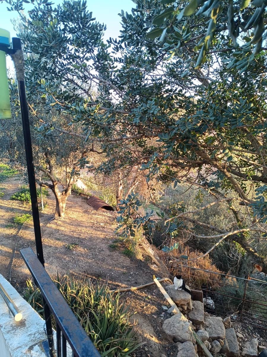 7 soveværelse Finca/Landehus til salg i Lliria med swimmingpool garage - € 490.000 (Ref: 8847651)