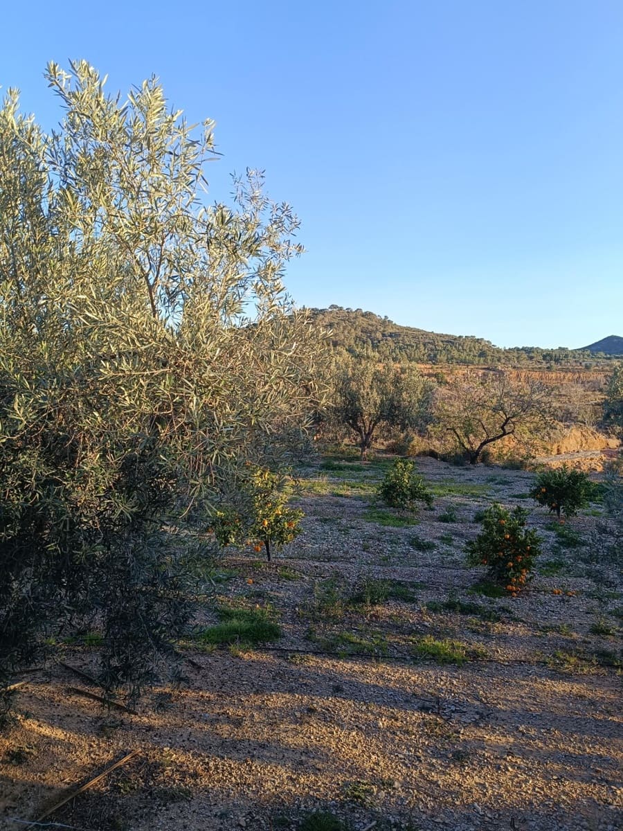 7 soveværelse Finca/Landehus til salg i Lliria med swimmingpool garage - € 490.000 (Ref: 8847651)