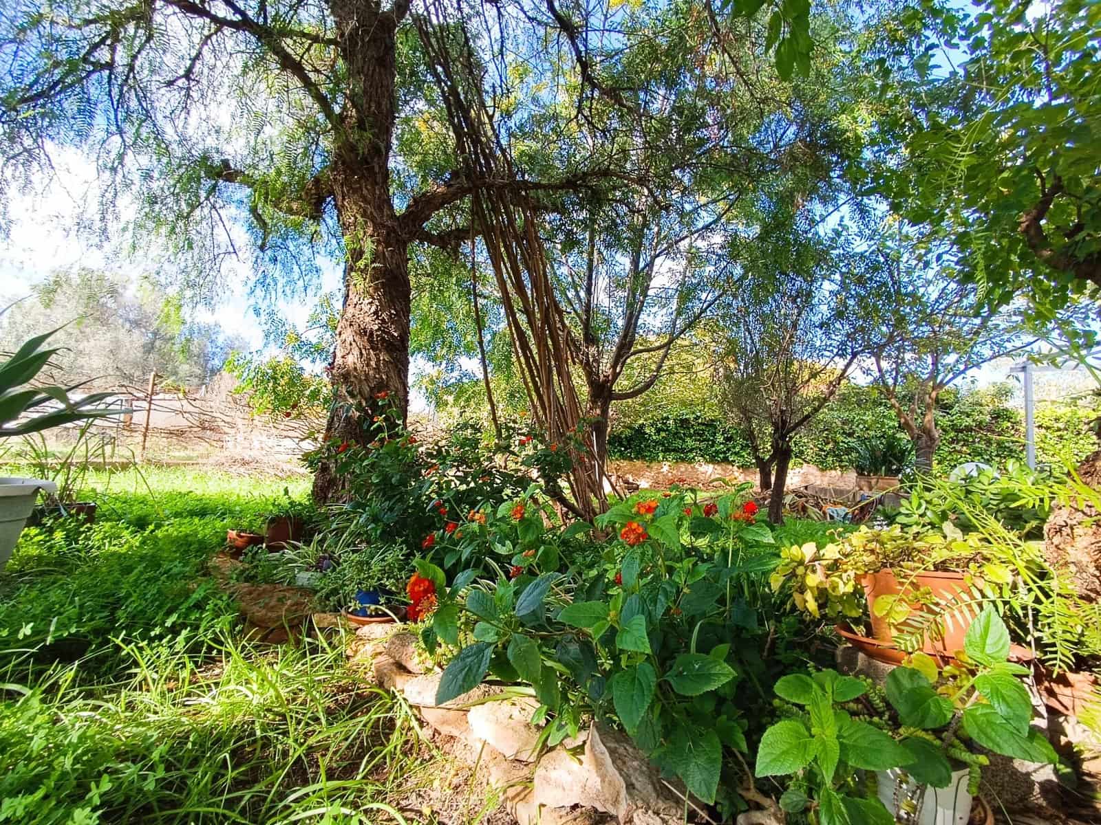 2 slaapkamer Villa te koop in Lliria met zwembad - € 215.000 (Ref: 9385479)