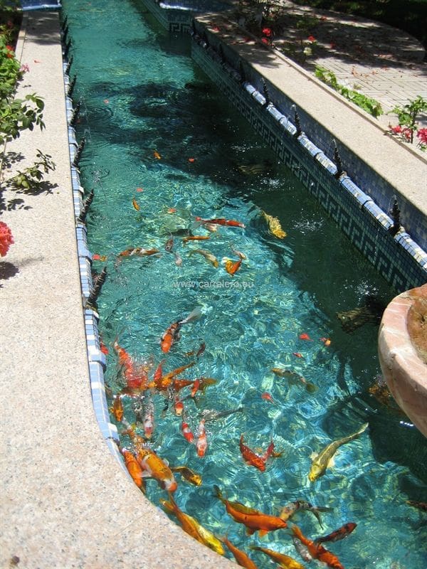 7 soverom Villa til salgs i Maspalomas med svømmebasseng garasje - € 3 900 000 (Ref: 4422261)