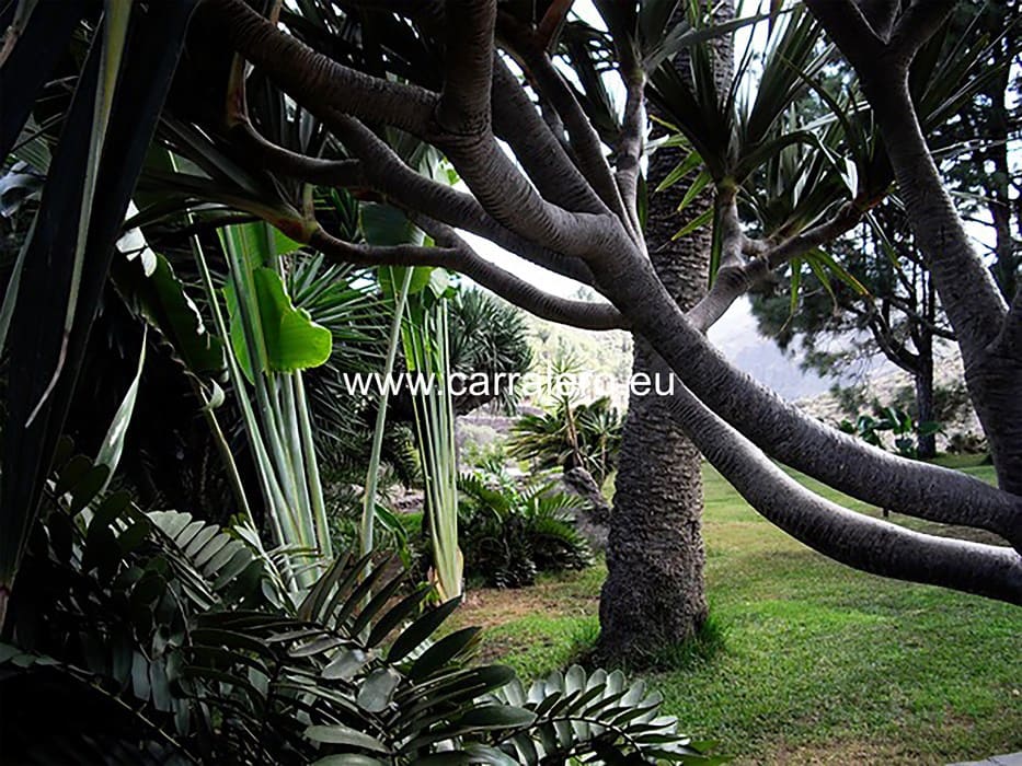 6 soveværelse Villa til salg i Monte Leon med swimmingpool garage - € 1.550.000 (Ref: 6269486)