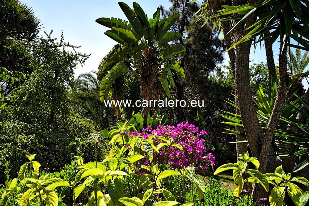 6 soveværelse Villa til salg i Monte Leon med swimmingpool garage - € 1.550.000 (Ref: 6269486)