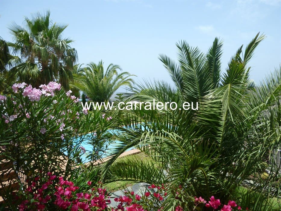 3 soveværelse Villa til salg i Monte Leon med swimmingpool garage - € 625.000 (Ref: 8591422)