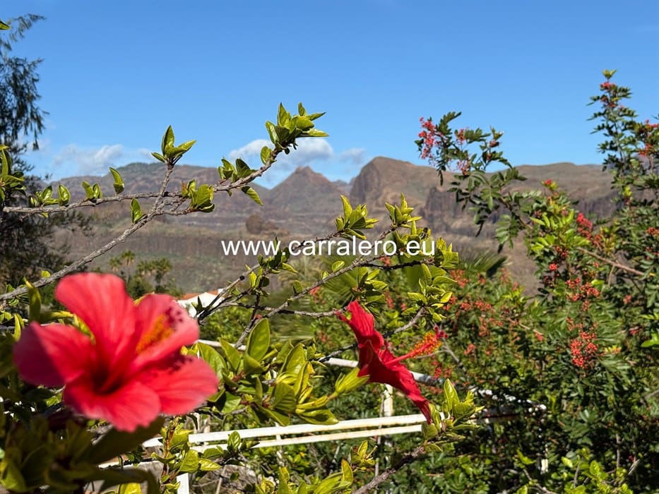 7 slaapkamer Villa te koop in Monte Leon met zwembad garage - € 2.290.000 (Ref: 9075572)