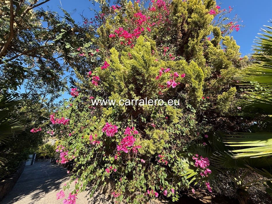 7 slaapkamer Villa te koop in Monte Leon met zwembad garage - € 2.290.000 (Ref: 9075572)