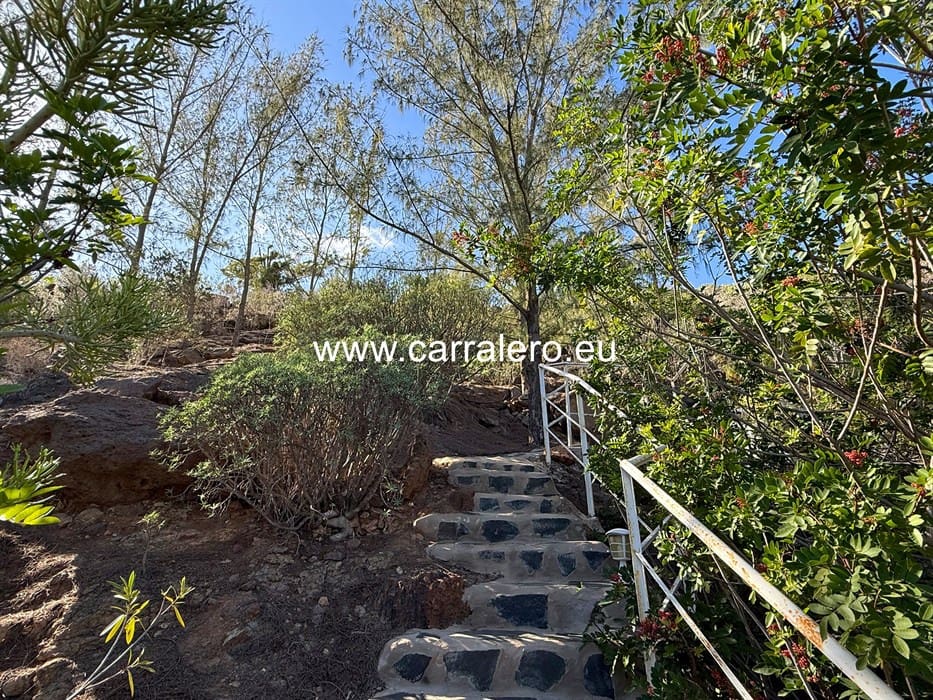 7 slaapkamer Villa te koop in Monte Leon met zwembad garage - € 2.290.000 (Ref: 9075572)