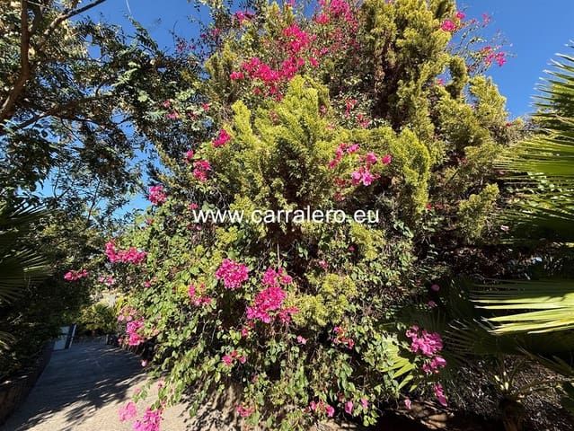 7 chambre Villa/Maison à vendre à Monte León, San Bartolomé de Tirajana avec piscine garage - 2 290 000 € (Ref: 9075572)