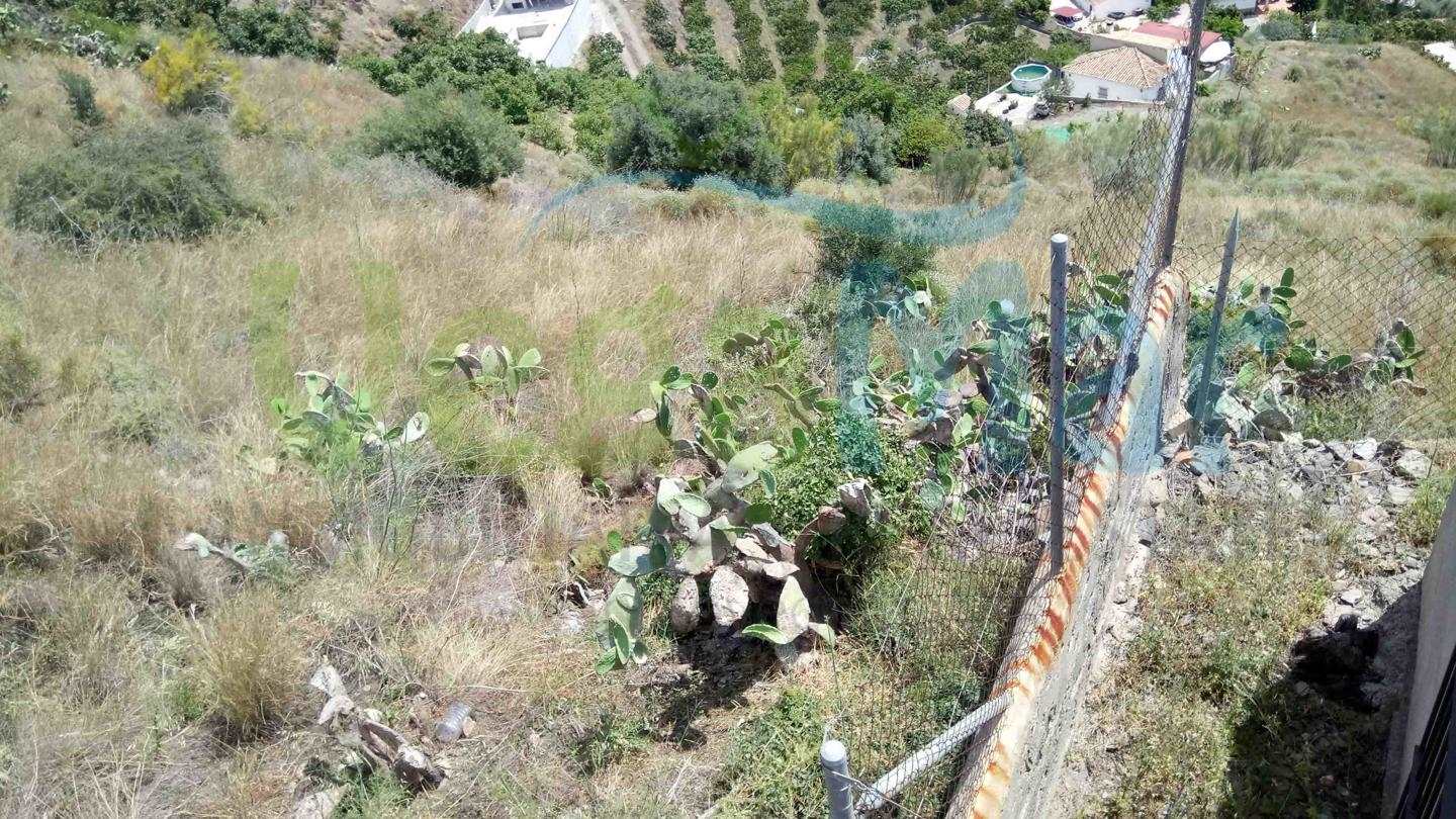 Terre non Aménagée à vendre à Almunecar - 70 000 € (Ref: 4002218)