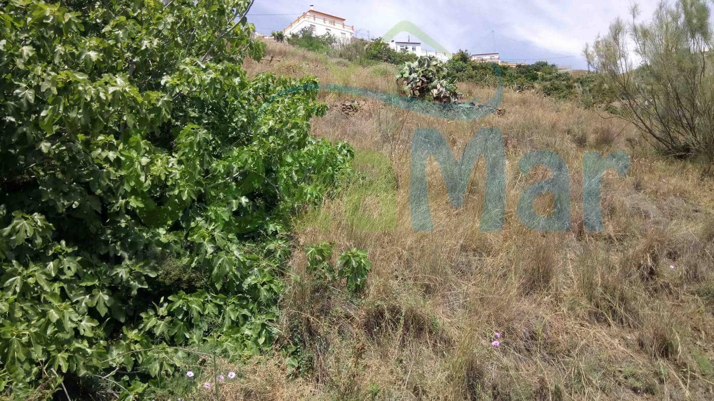 Terre non Aménagée à vendre à Almunecar - 70 000 € (Ref: 4002218)