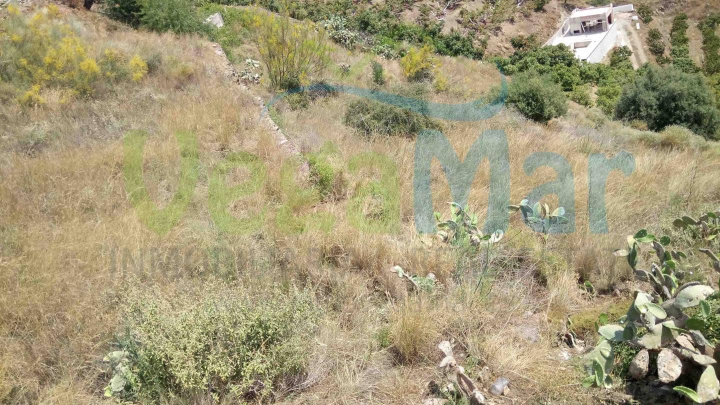 Terre non Aménagée à vendre à Almunecar - 70 000 € (Ref: 4002218)