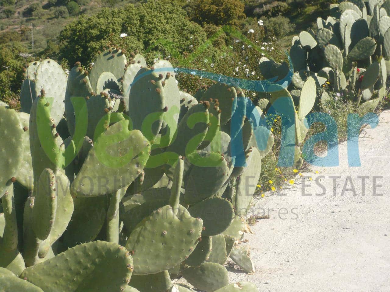 Finca/Casa Rural de 7 habitaciones en Otívar en venta - 1.000.000 € (Ref: 4006017)