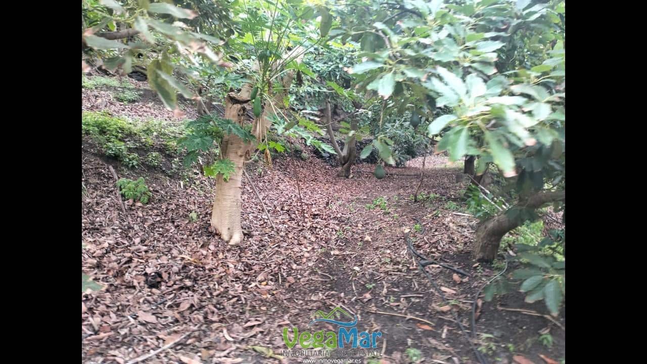 Grunde uden byggetilladelser til salg i Almunecar - € 260.000 (Ref: 4447903)