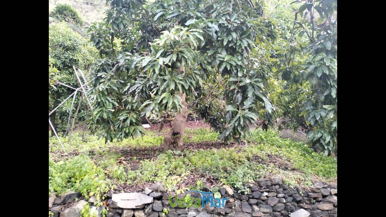 Grunde uden byggetilladelser til salg i Almunecar - € 260.000 (Ref: 4447903)