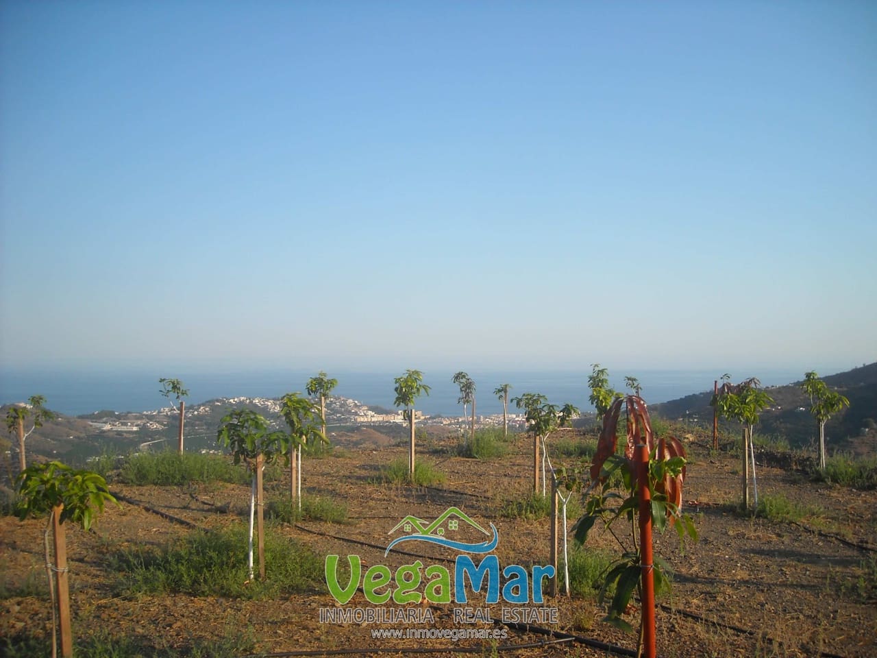 Ubebygd land til salgs i Almunecar - € 800 000 (Ref: 4780851)