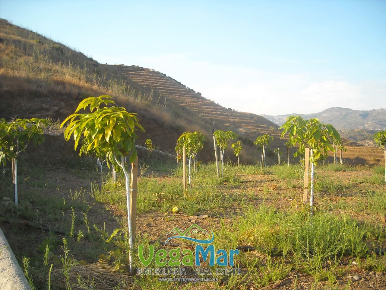 Ubebygd land til salgs i Almunecar - € 800 000 (Ref: 4780851)