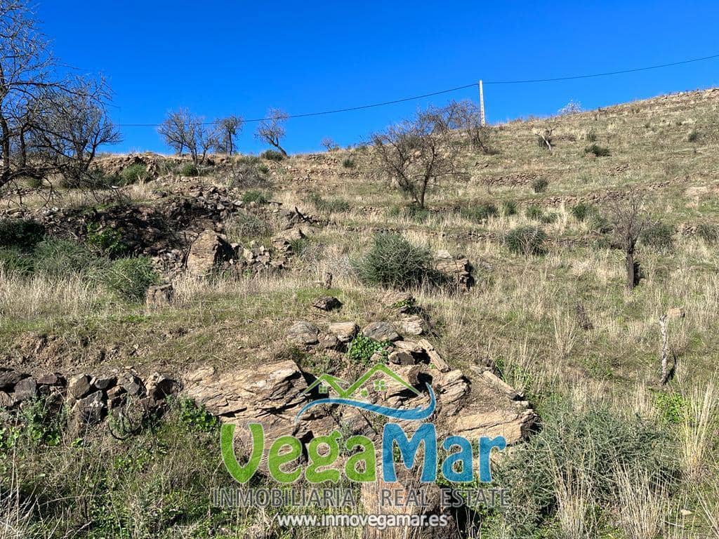 Ubebygd land til salgs i Almunecar - € 70 000 (Ref: 7331102)