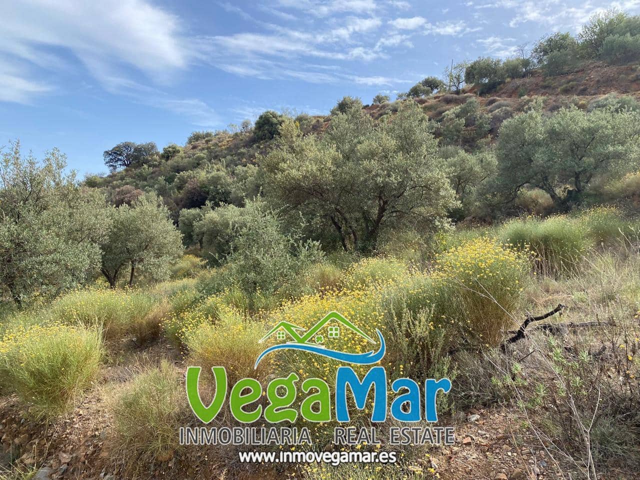 Ubebygd land til salgs i Almunecar - € 65 000 (Ref: 7936668)