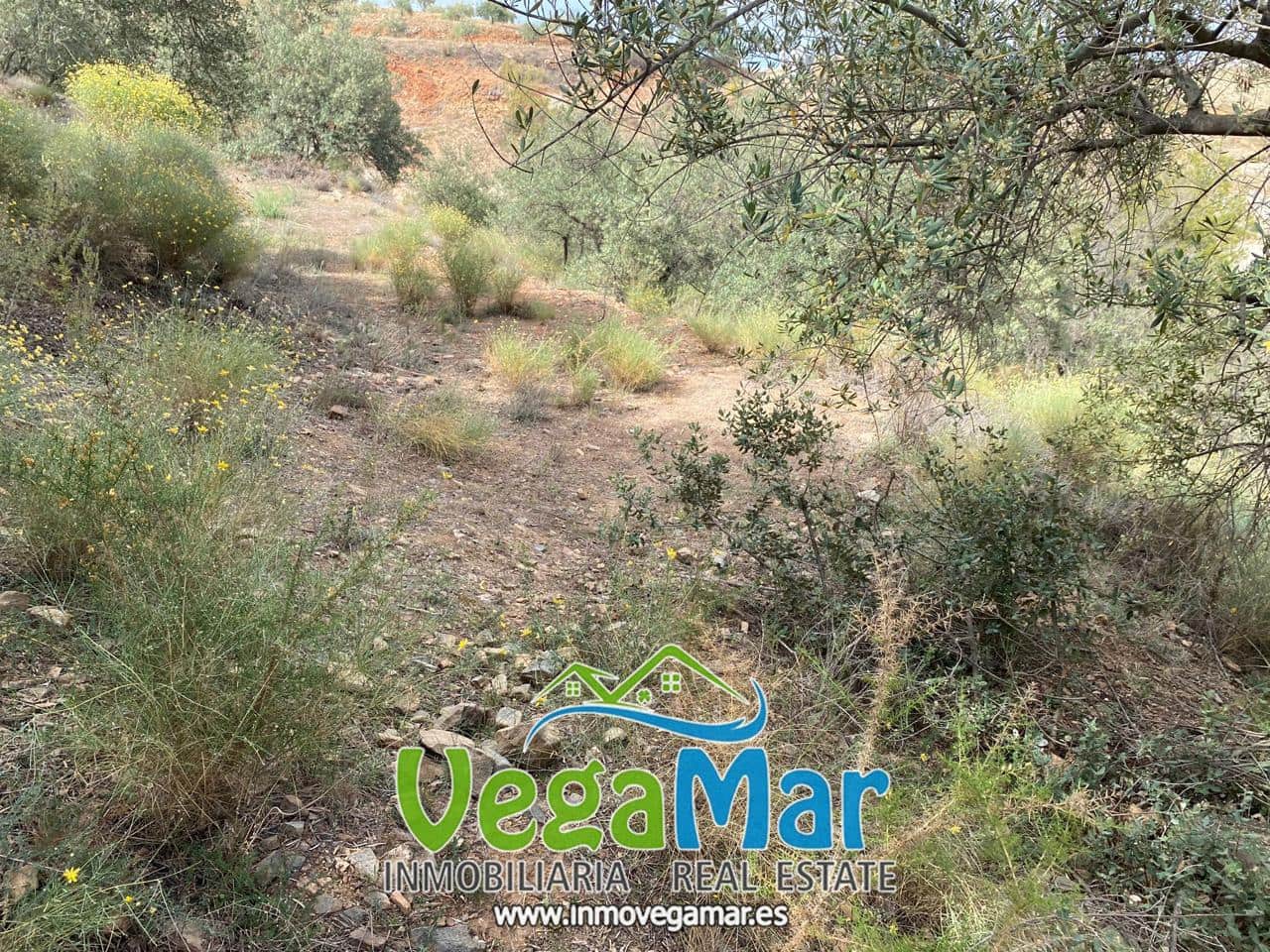 Ubebygd land til salgs i Almunecar - € 65 000 (Ref: 7936668)