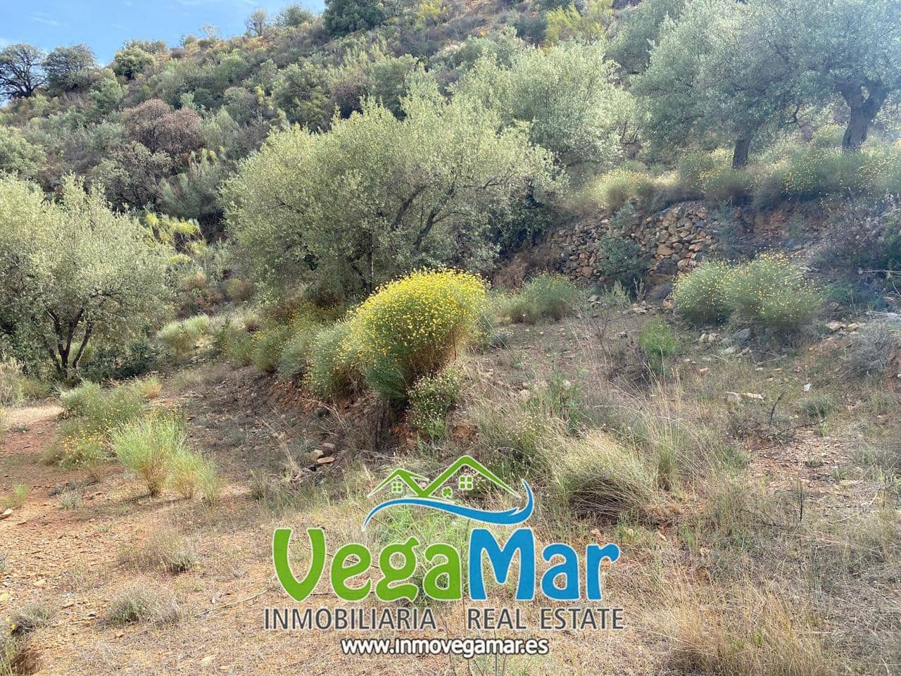 Ubebygd land til salgs i Almunecar - € 65 000 (Ref: 7936668)