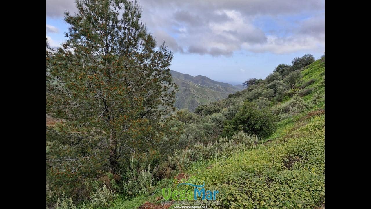 Ubebygd land til salgs i Almunecar - € 65 000 (Ref: 7936668)