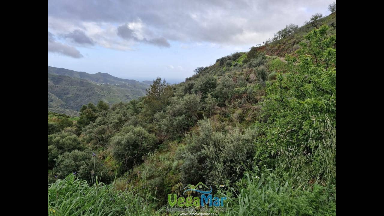 Ubebygd land til salgs i Almunecar - € 65 000 (Ref: 7936668)