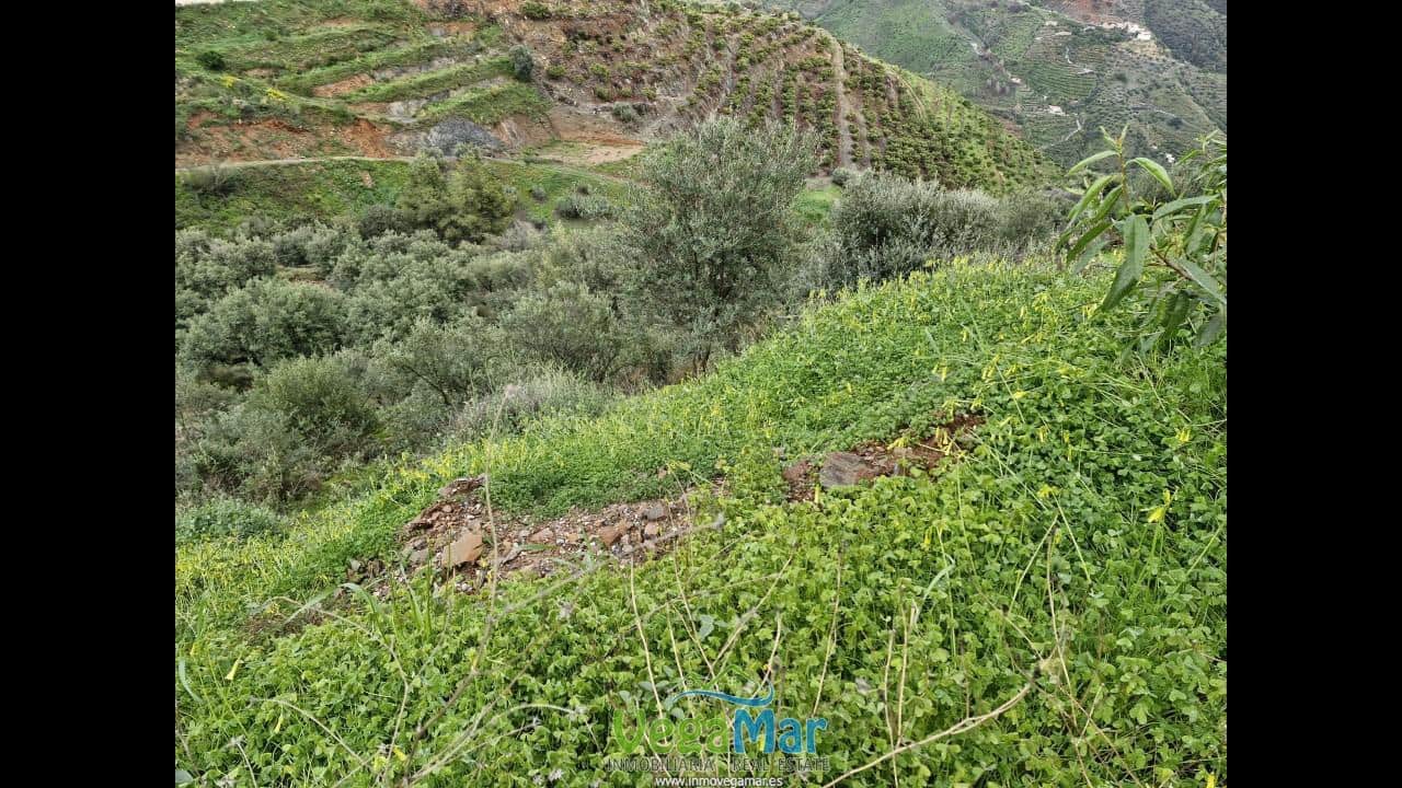 Ubebygd land til salgs i Almunecar - € 65 000 (Ref: 7936668)