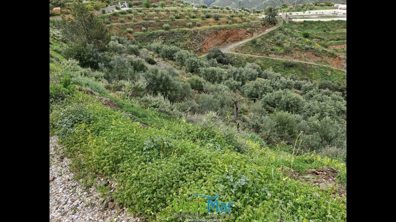 Ubebygd land til salgs i Almunecar - € 65 000 (Ref: 7936668)