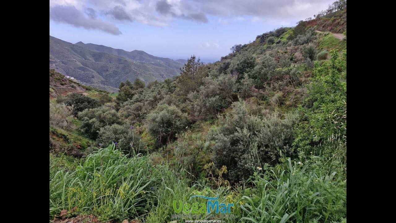 Ubebygd land til salgs i Almunecar - € 65 000 (Ref: 7936668)