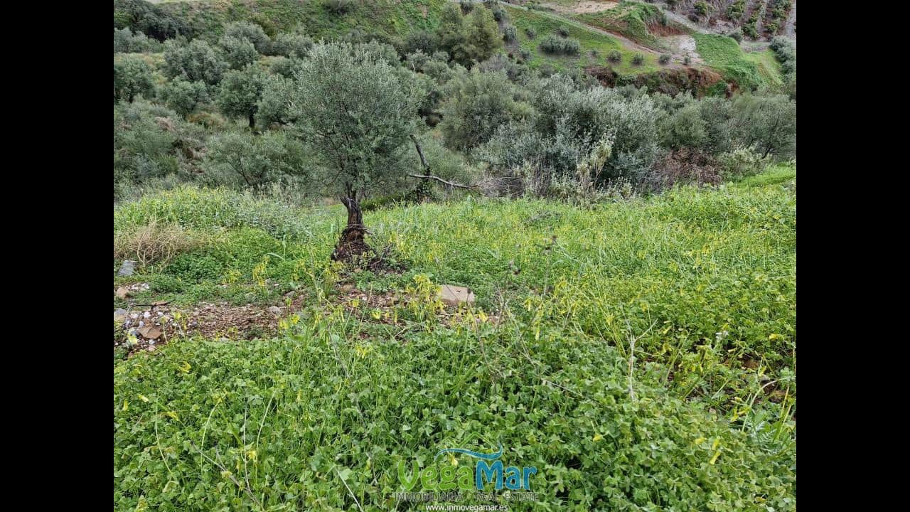 Ubebygd land til salgs i Almunecar - € 65 000 (Ref: 7936668)