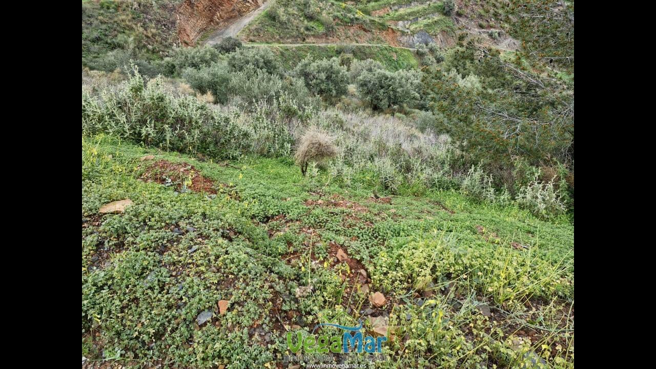 Ubebygd land til salgs i Almunecar - € 65 000 (Ref: 7936668)