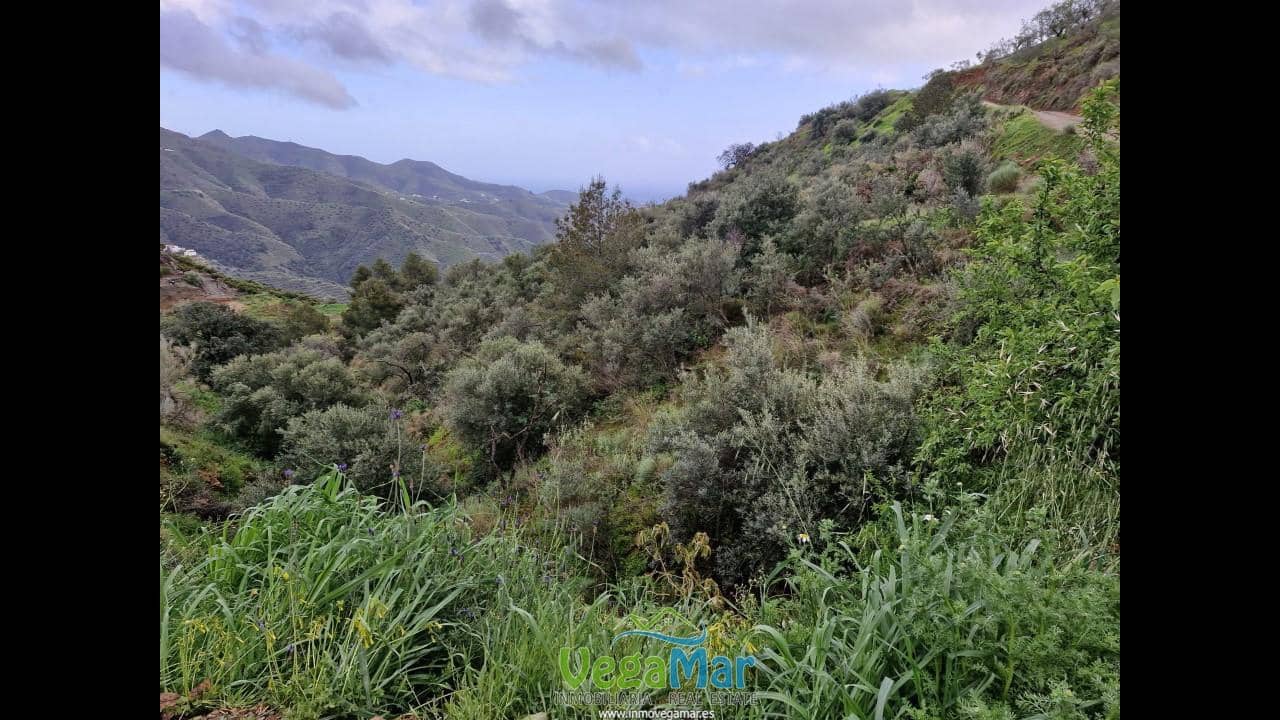 Ubebygd land til salgs i Almunecar - € 65 000 (Ref: 7936668)