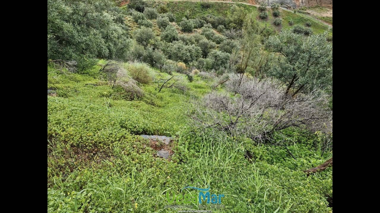 Ubebygd land til salgs i Almunecar - € 65 000 (Ref: 7936668)