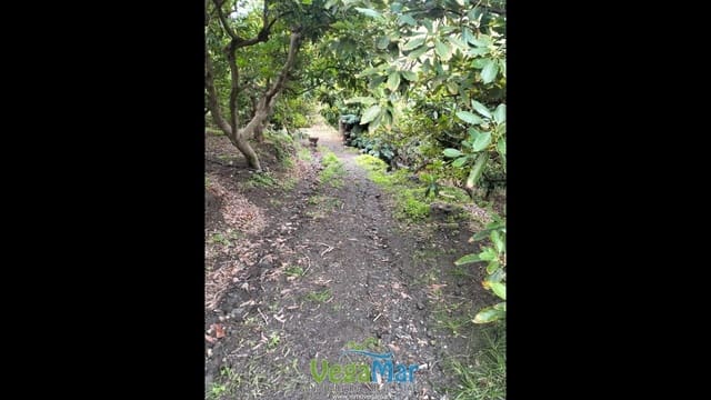 Landgrundstück zu verkaufen in Almuñécar - 45.000 € (Ref: 8633863)