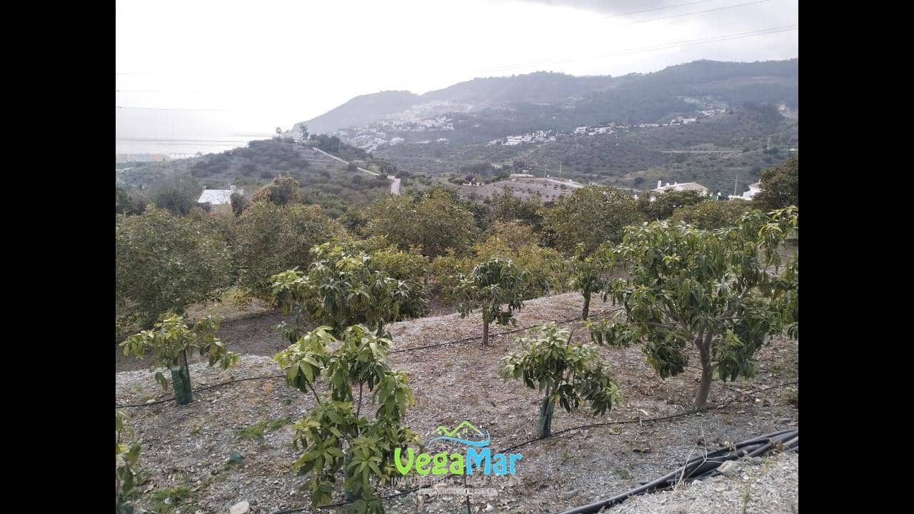 2 soveværelse Villa til salg i La Herradura med swimmingpool - € 577.000 (Ref: 8772655)