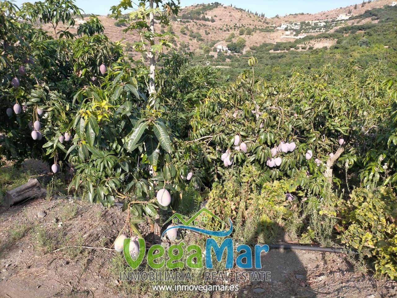 Grunde uden byggetilladelser til salg i Almunecar - € 169.000 (Ref: 8795468)