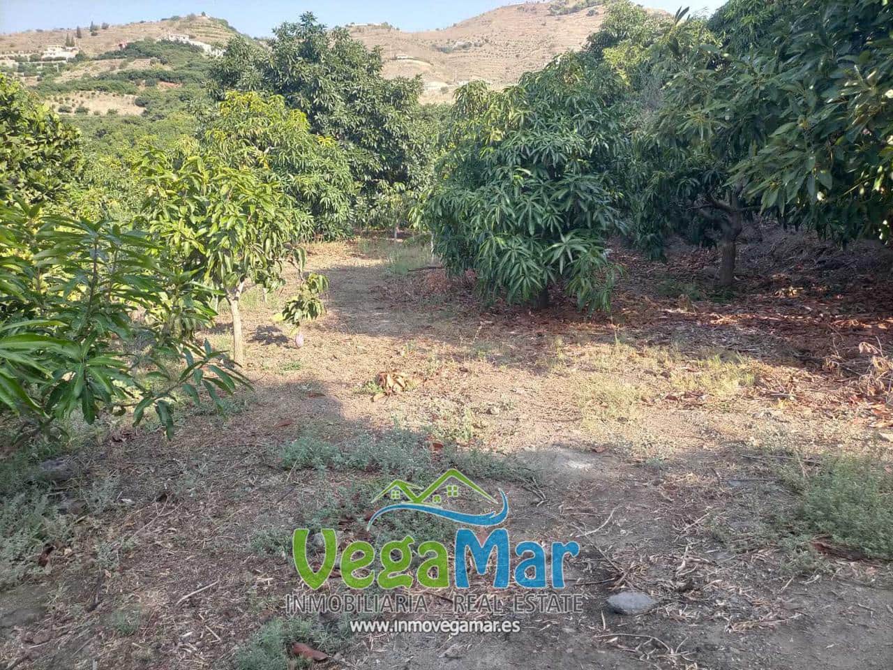 Grunde uden byggetilladelser til salg i Almunecar - € 169.000 (Ref: 8795468)