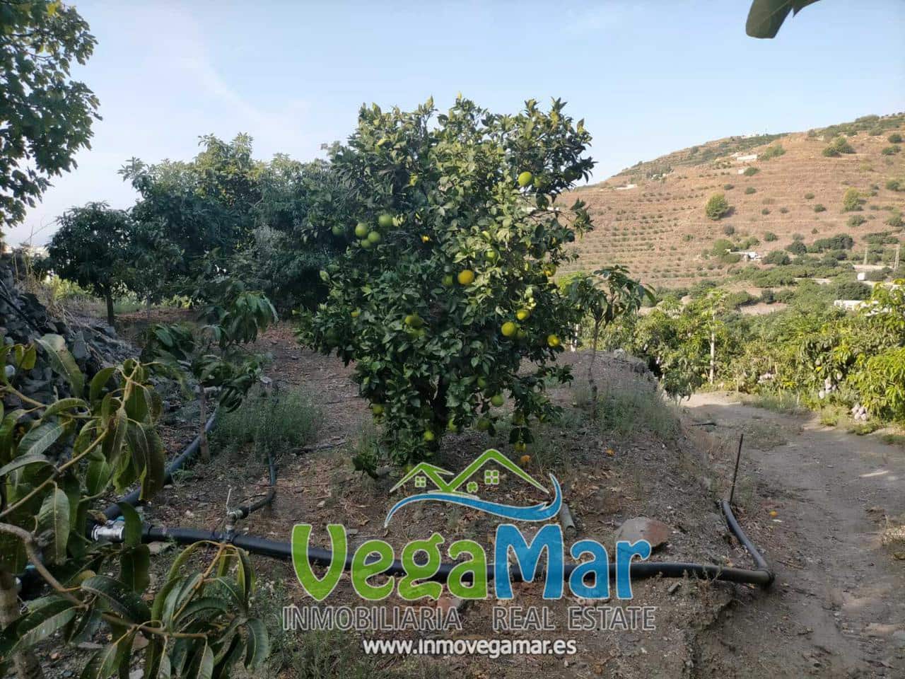 Grunde uden byggetilladelser til salg i Almunecar - € 169.000 (Ref: 8795468)