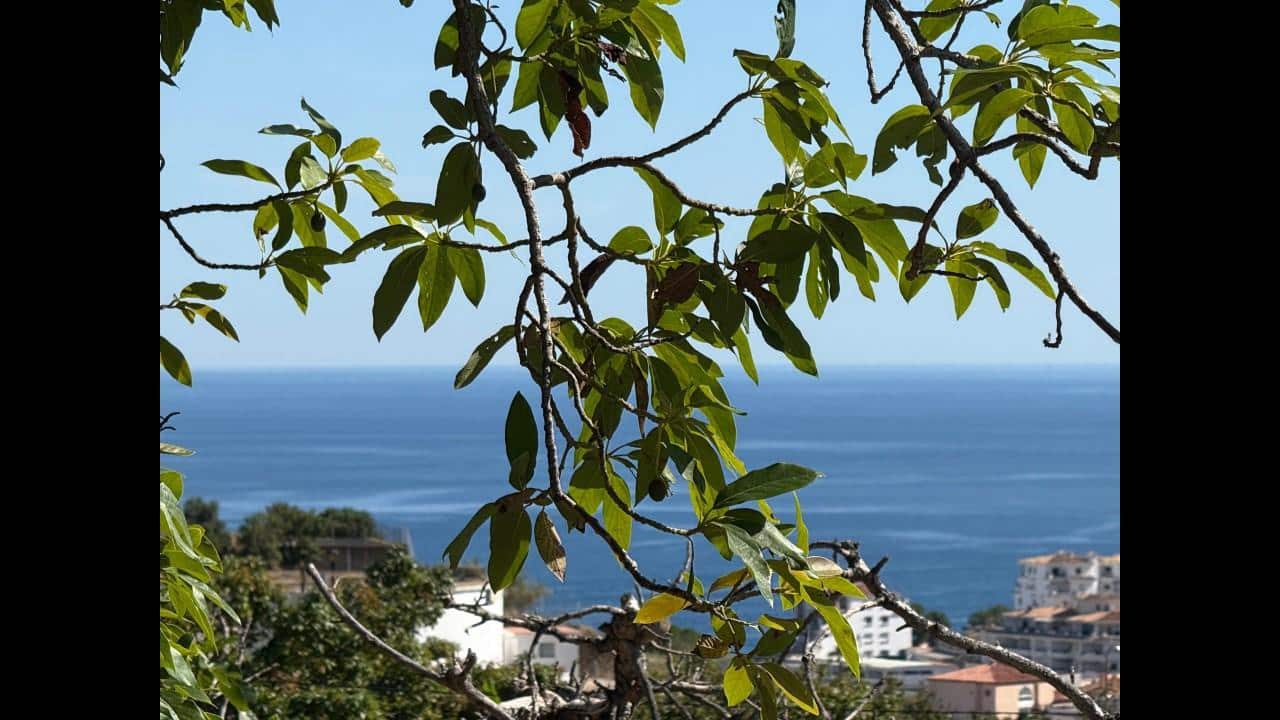 Undeveloped Land for sale in Almunecar - € 129,000 (Ref: 8795468)