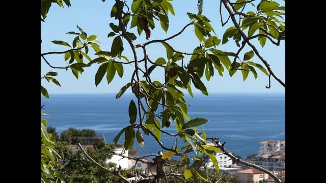 Grond te koop in Almuñécar - € 129.000 (Ref: 8795468)