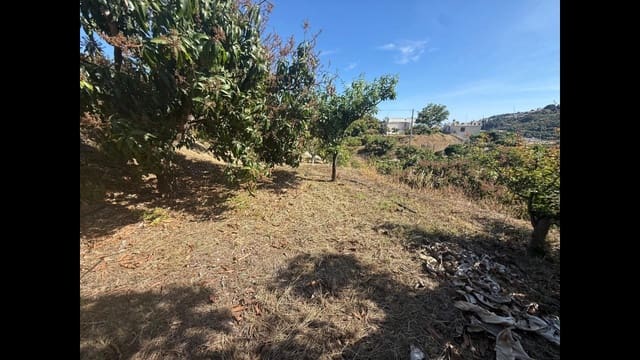Grond te koop in Almuñécar - € 129.000 (Ref: 8795468)