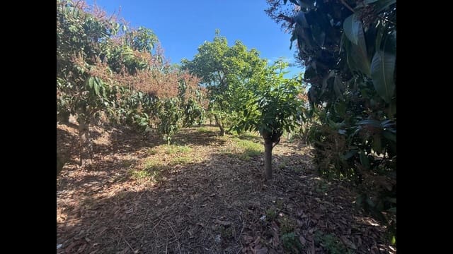 Grond te koop in Almuñécar - € 129.000 (Ref: 8795468)