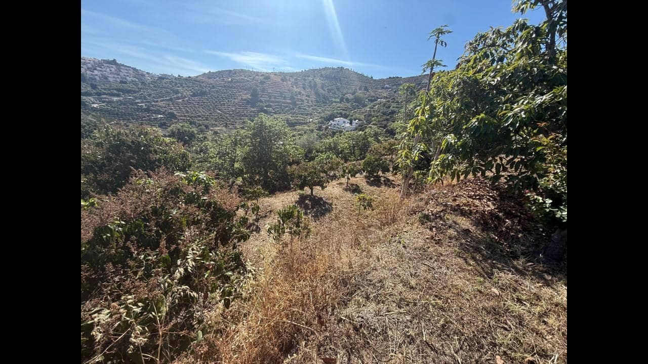 Undeveloped Land for sale in Almunecar - € 129,000 (Ref: 8795468)