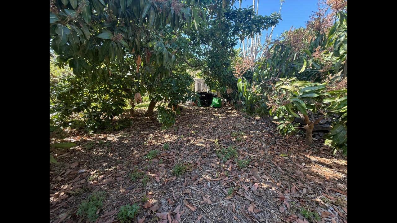 Undeveloped Land for sale in Almunecar - € 129,000 (Ref: 8795468)