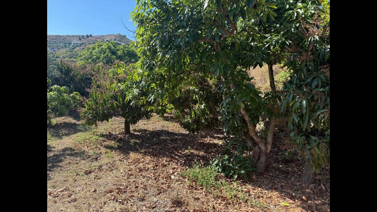 Undeveloped Land for sale in Almunecar - € 129,000 (Ref: 8795468)