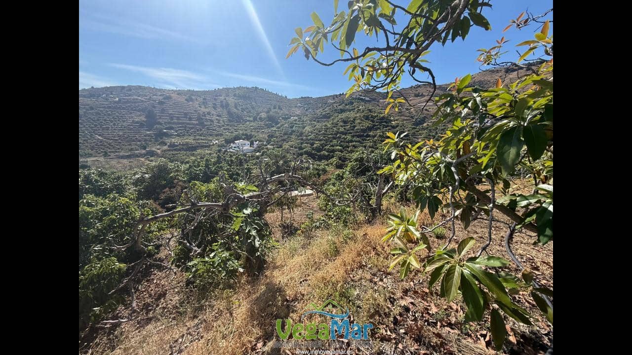 Undeveloped Land for sale in Almunecar - € 129,000 (Ref: 8795468)