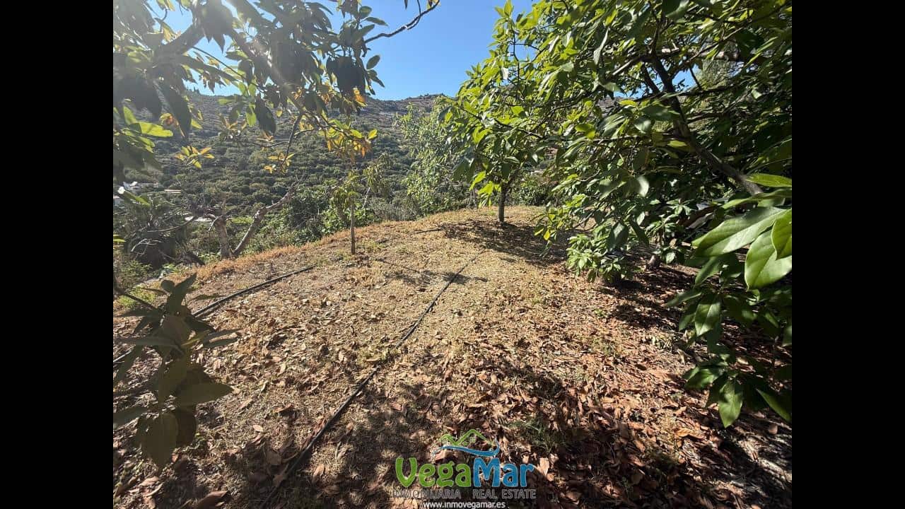 Undeveloped Land for sale in Almunecar - € 129,000 (Ref: 8795468)