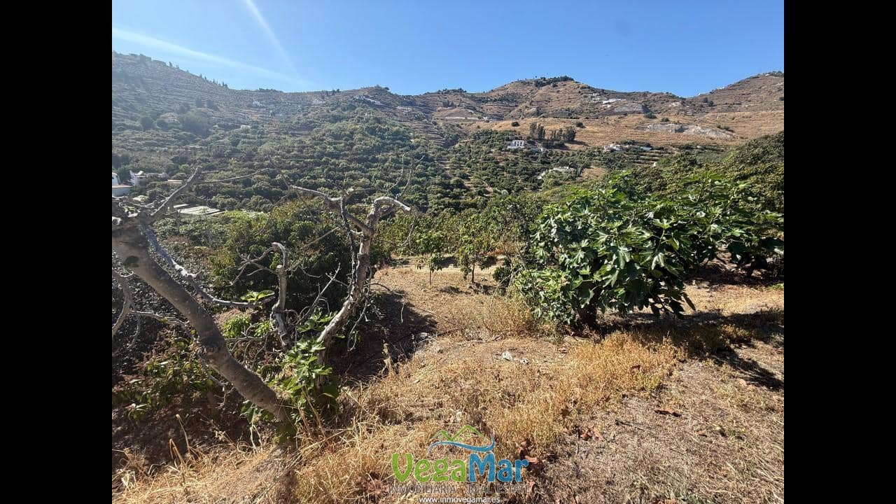 Undeveloped Land for sale in Almunecar - € 129,000 (Ref: 8795468)