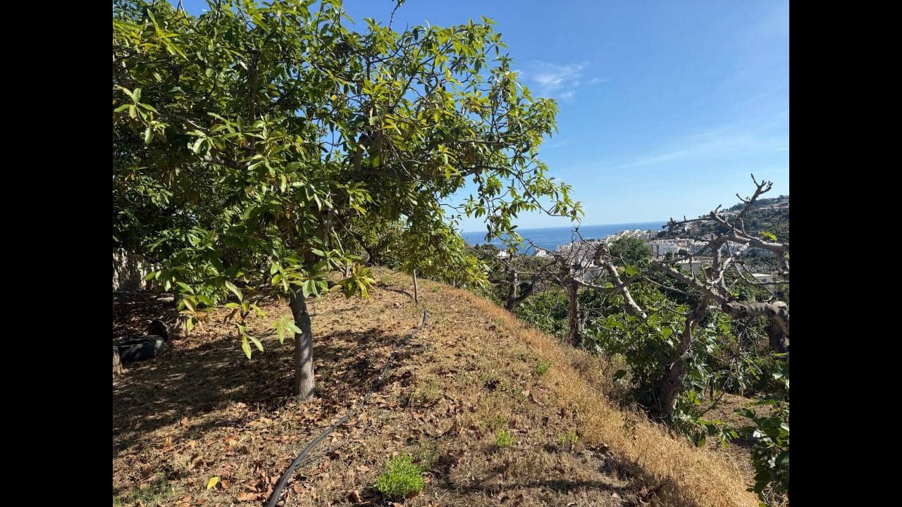 Undeveloped Land for sale in Almunecar - € 129,000 (Ref: 8795468)