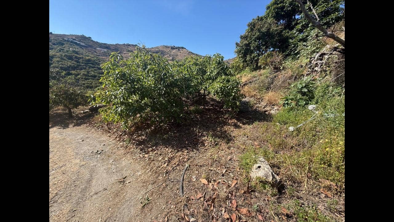 Undeveloped Land for sale in Almunecar - € 129,000 (Ref: 8795468)