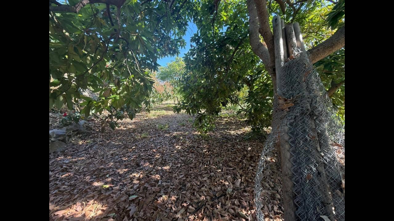 Undeveloped Land for sale in Almunecar - € 129,000 (Ref: 8795468)